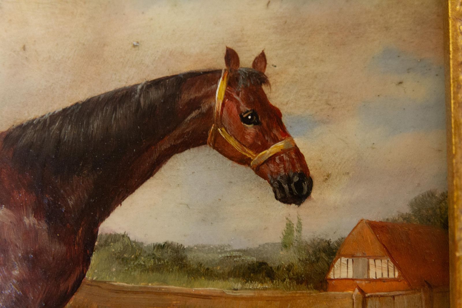 Vintage Oil Painting Of Bay Horse In Gilded Frame, 20th Century. photo vinterior