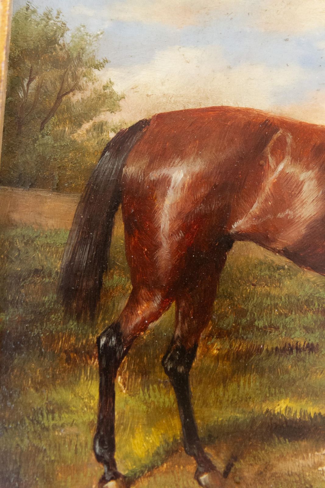 Vintage Oil Painting Of Bay Horse In Gilded Frame, 20th Century. photo buy