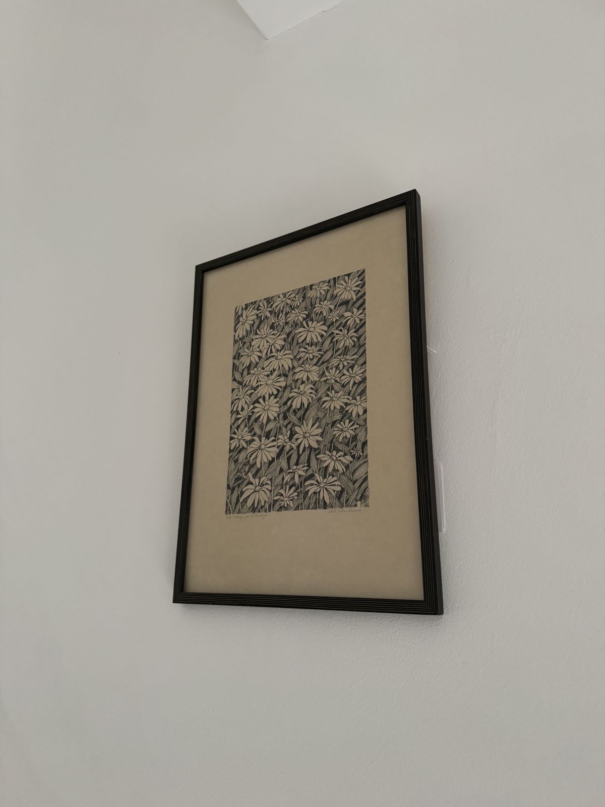 Till Valborg På 60 årsdagen   Daisies, Original Ink Drawing Carl  Johan Damm photo vinterior