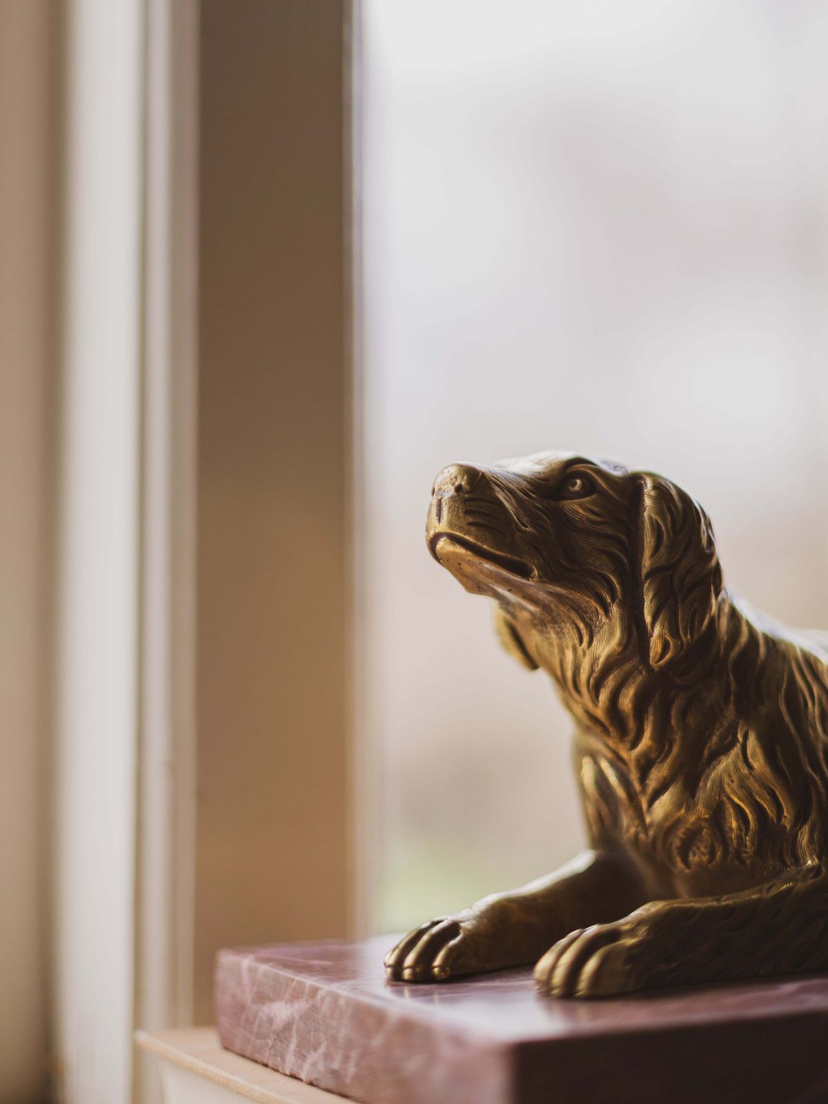 A 19th Century Gilt Bronze Study Of A Reclining Labrador Dog On A Rouge Marble Base photo 561.0