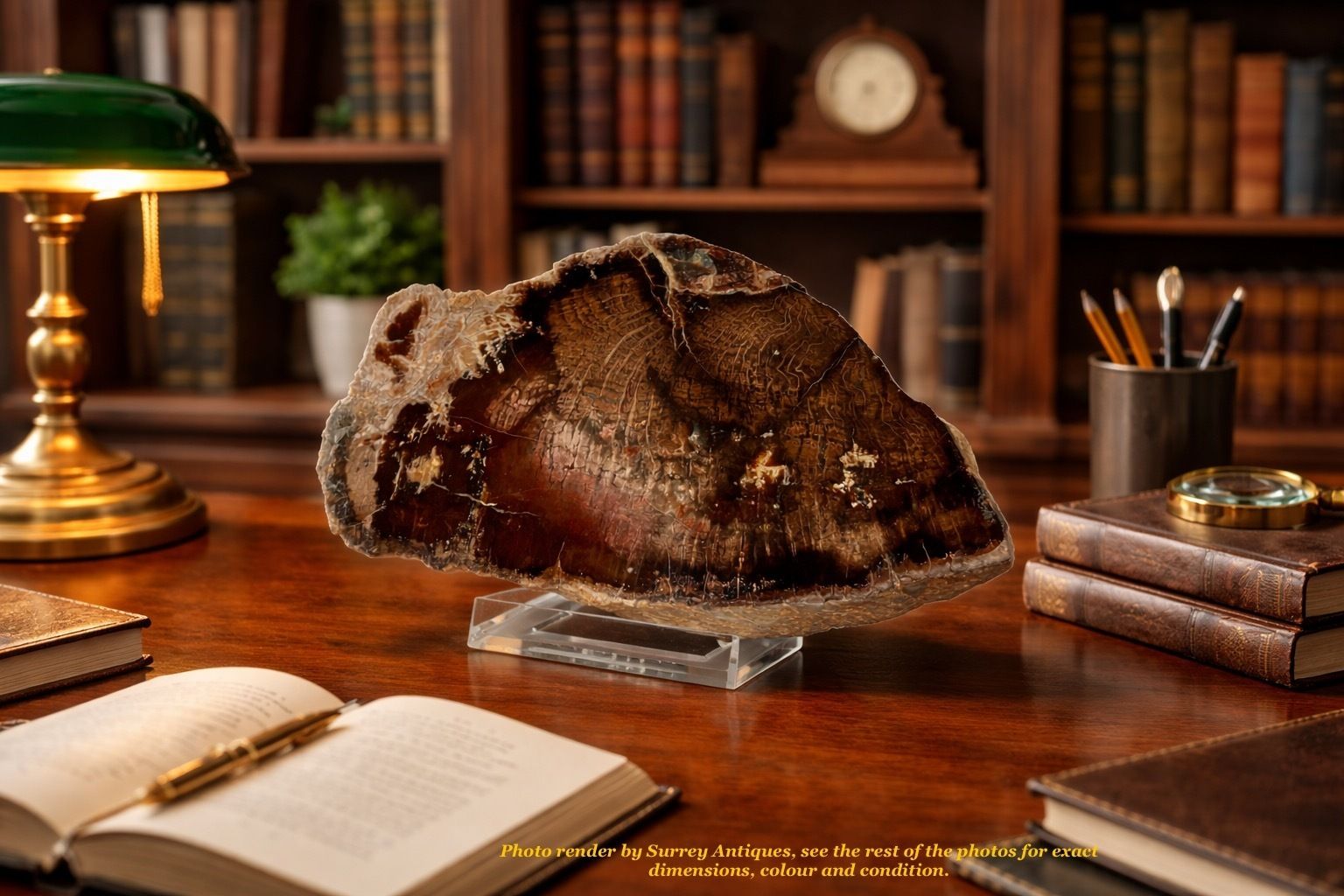 A Small Fossilised Or Petrified Wood Specimen, Polished And Mounted On A Perspex Stand, Circa 120 To 240 Million Years Old photo buy
