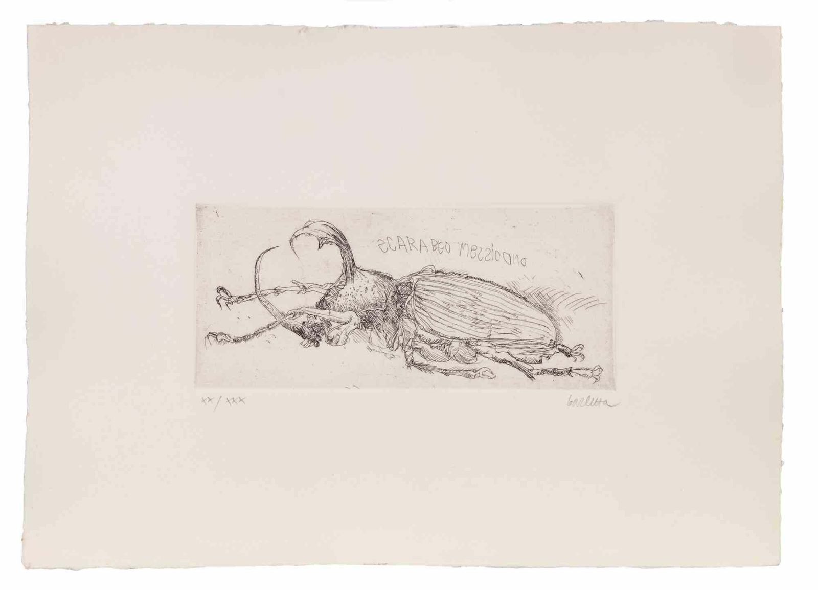 Sergio Barlettamexican Beetle   Etching By Sergio Barletta   1970s1970s