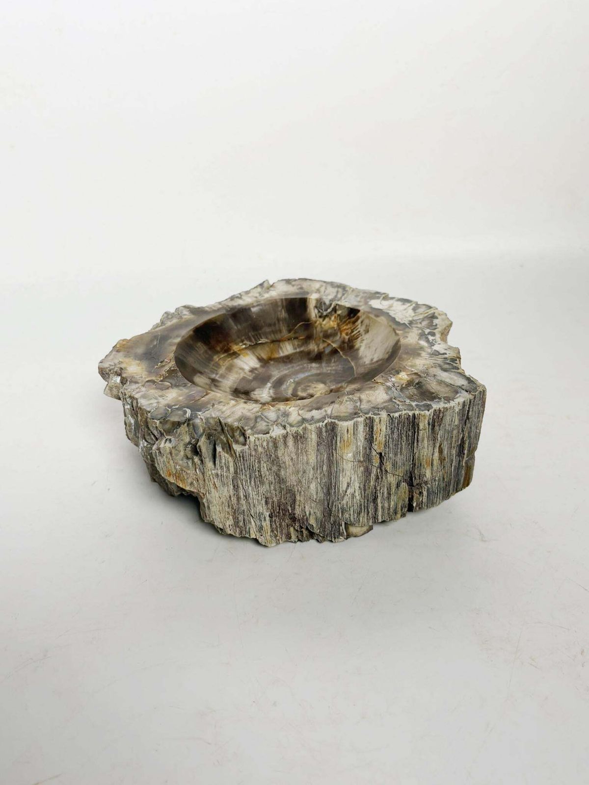 Ashtray Made Of Fossilized Wood, France, 19th photo furniture