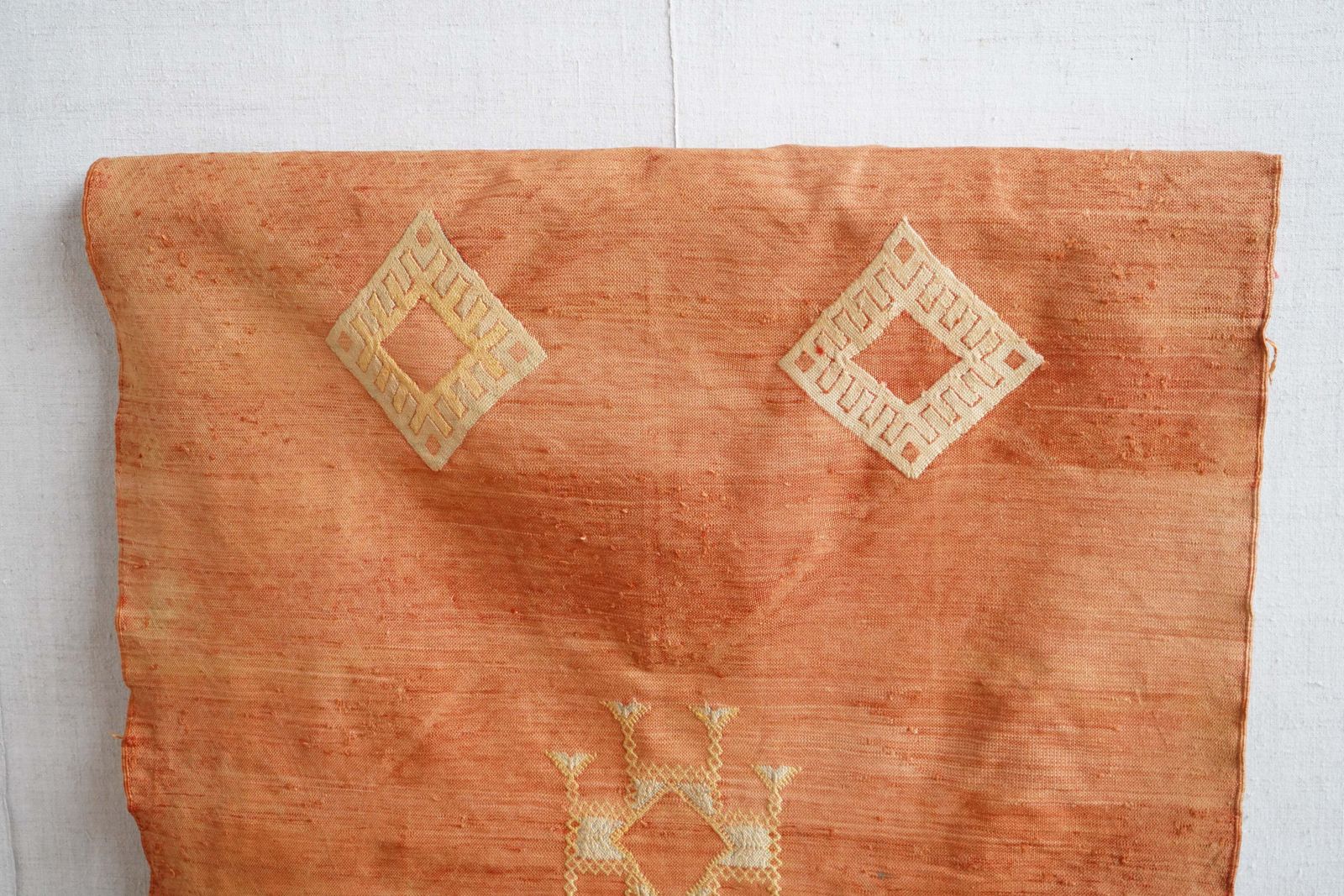 Moroccan Cactus Silk Rug, African photo furniture