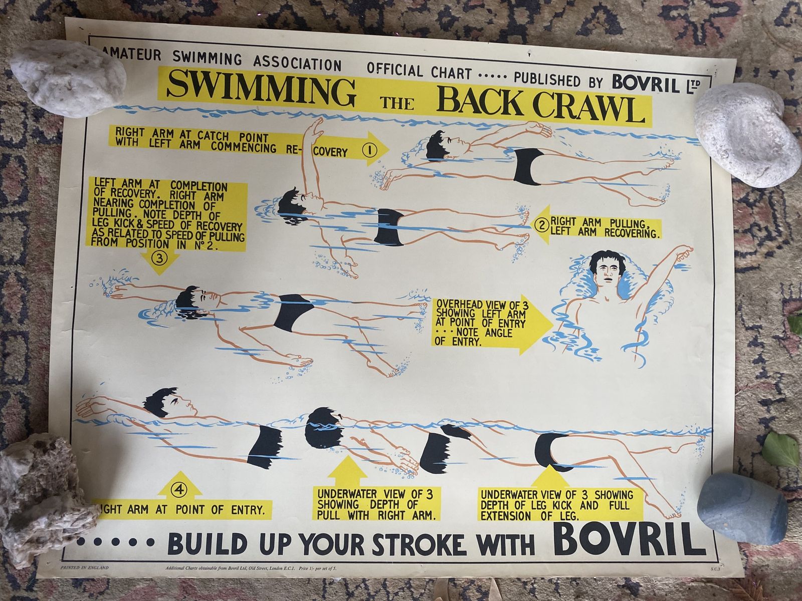 Vintage Bovril Swimming Association Poster  Back Crawl