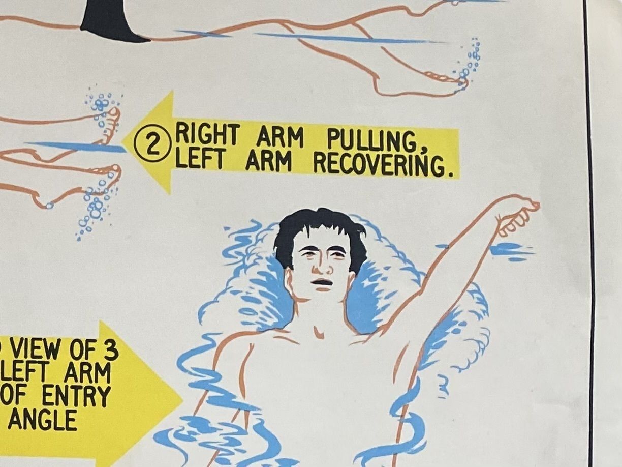 Vintage Bovril Swimming Association Poster  Back Crawl photo furniture