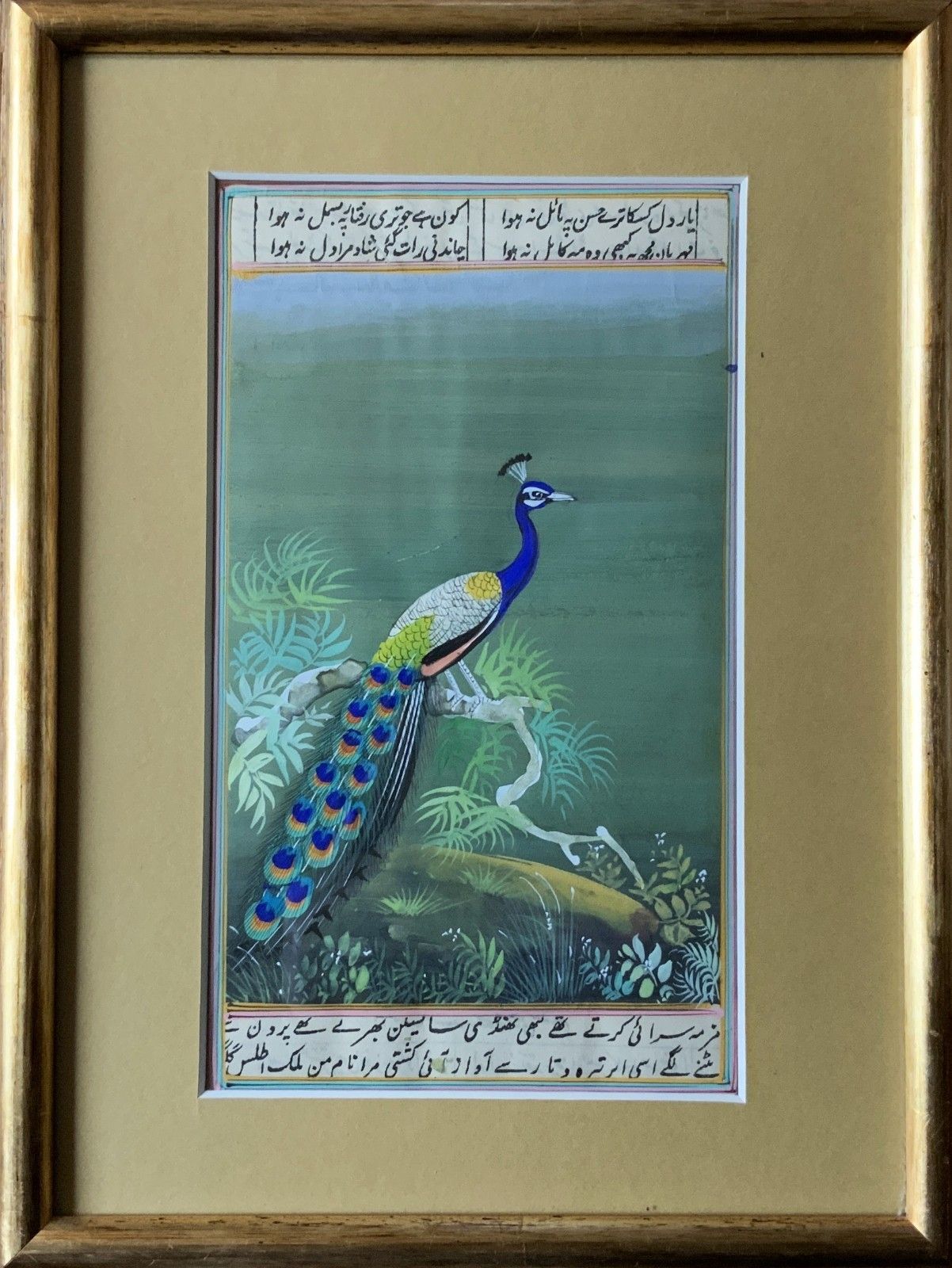 Charming 19thc Indian Mughal School Peacock Watercolour Painting With Scripture photo furniture