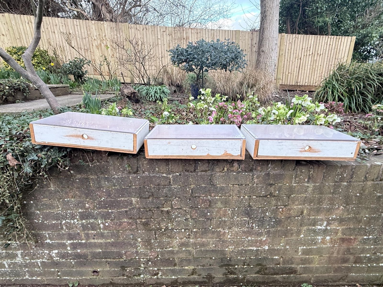 Large Vintage Utilitarian Industrial Wooden Drawer Display Units With Frosted Acrylic Tops, Circa 70s 80s photo Furniture
