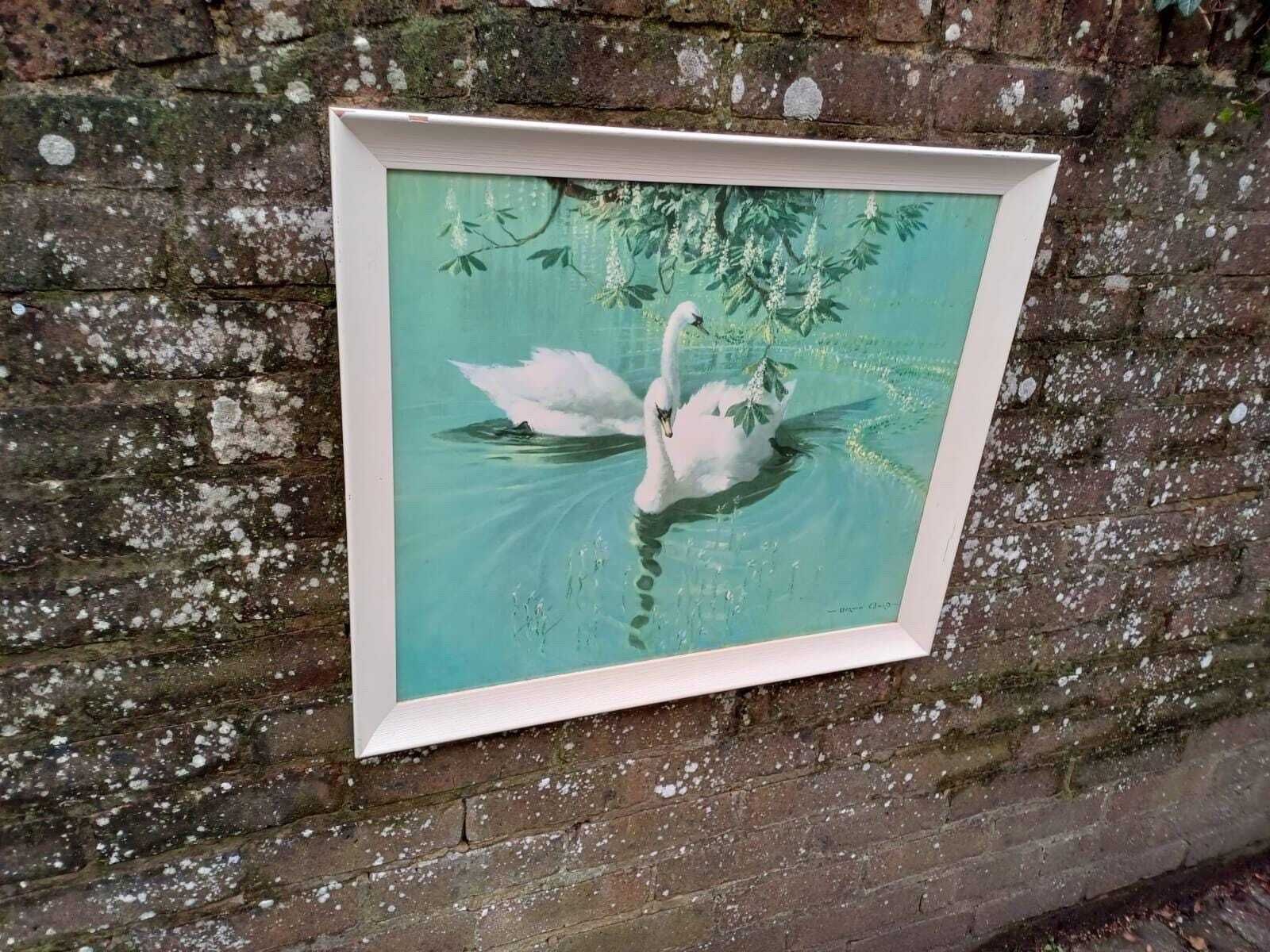 Authentic Retro Vernon Ward Swan Print Mid Century Vintage Framed British Art photo buy