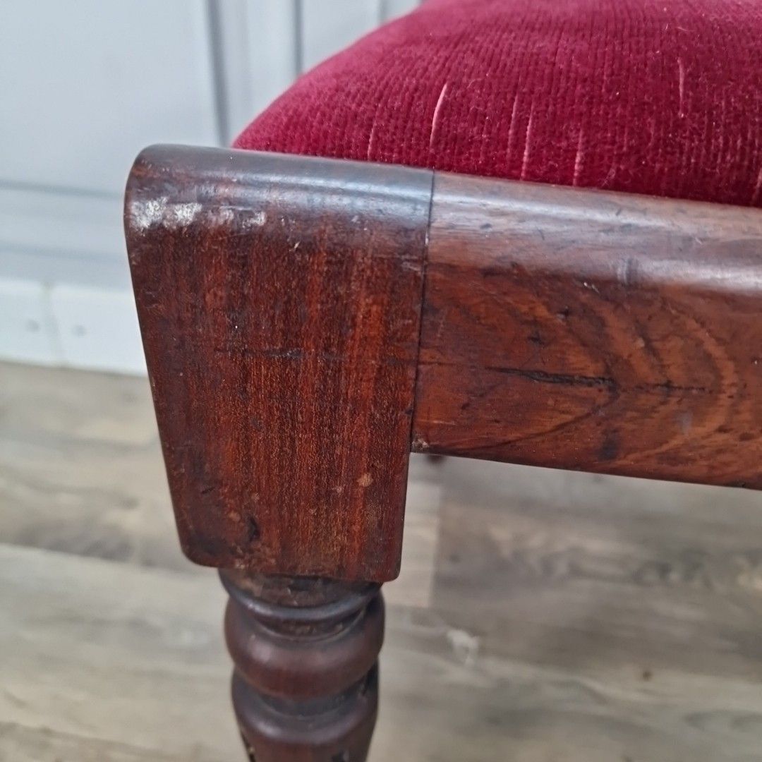 90.0 Antique Dining Chair Mahogany – Upholstered Seat Carved Legs 19th Century photo
