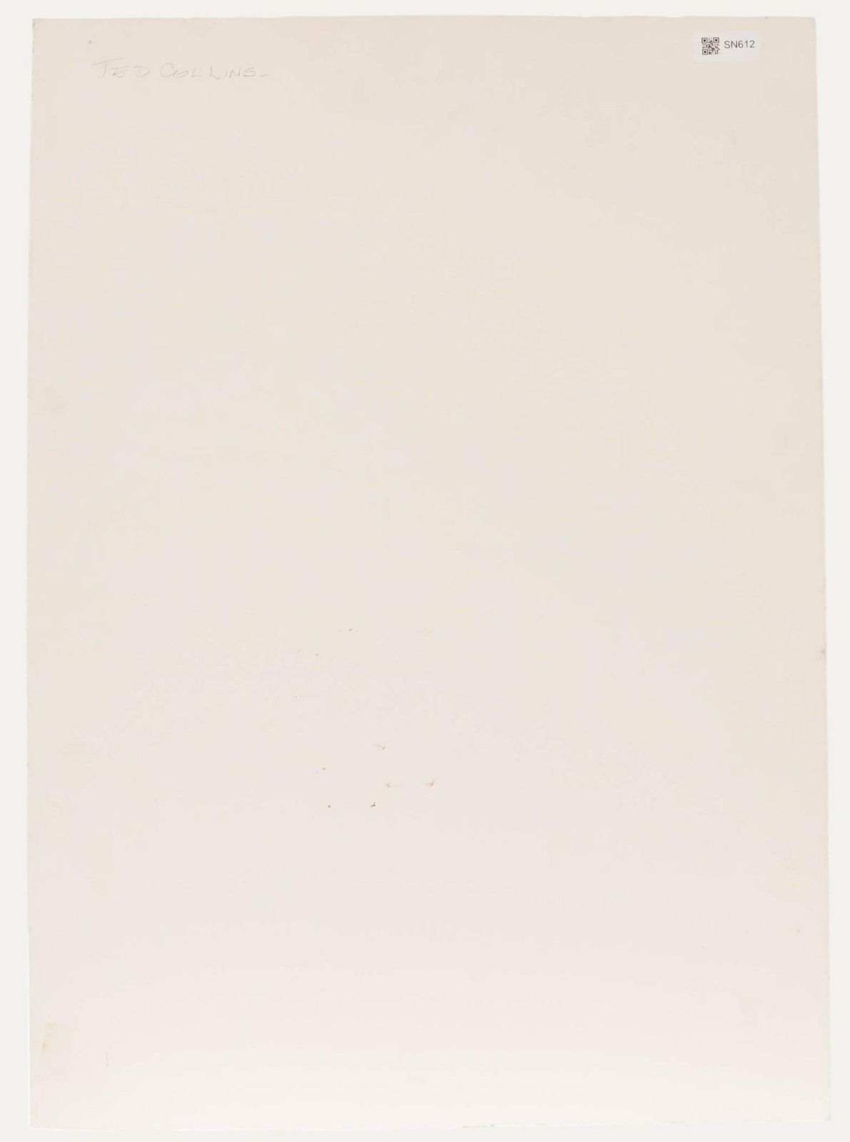 Wendy Trinder (1942 2020) 20th Century Oil, Ted Collins photo for sale
