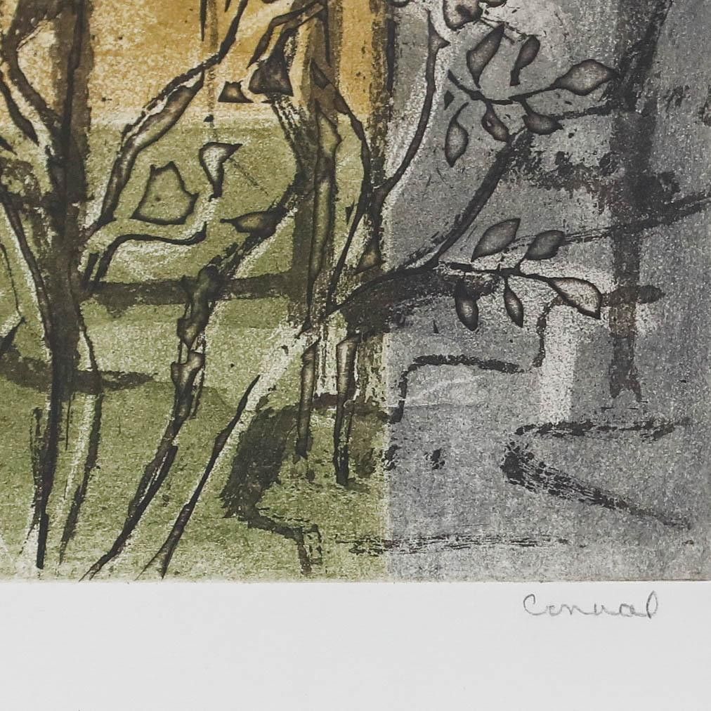 Betty Connal Peebles (1935 1999) 20th Century Collagraph, Haie Vive photo vinterior