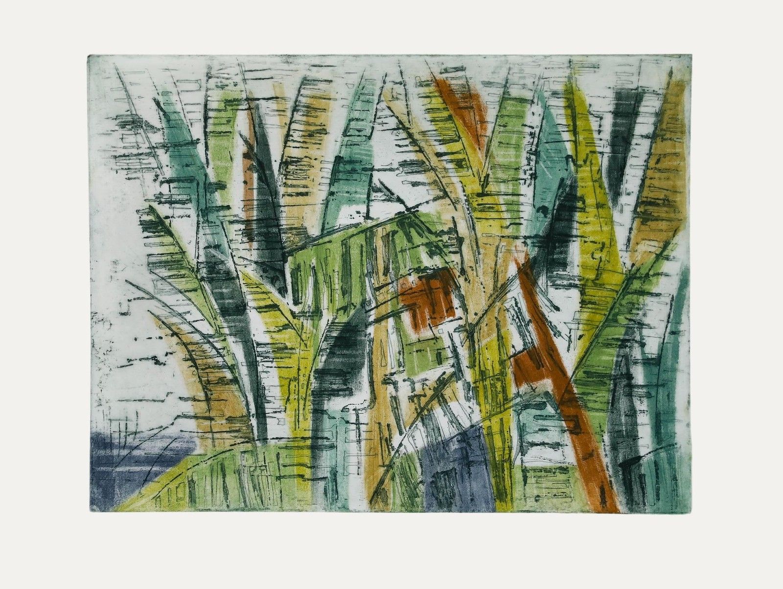 Betty Connal Peebles (1935 1999) 20th Century Collagraph, Ombrage