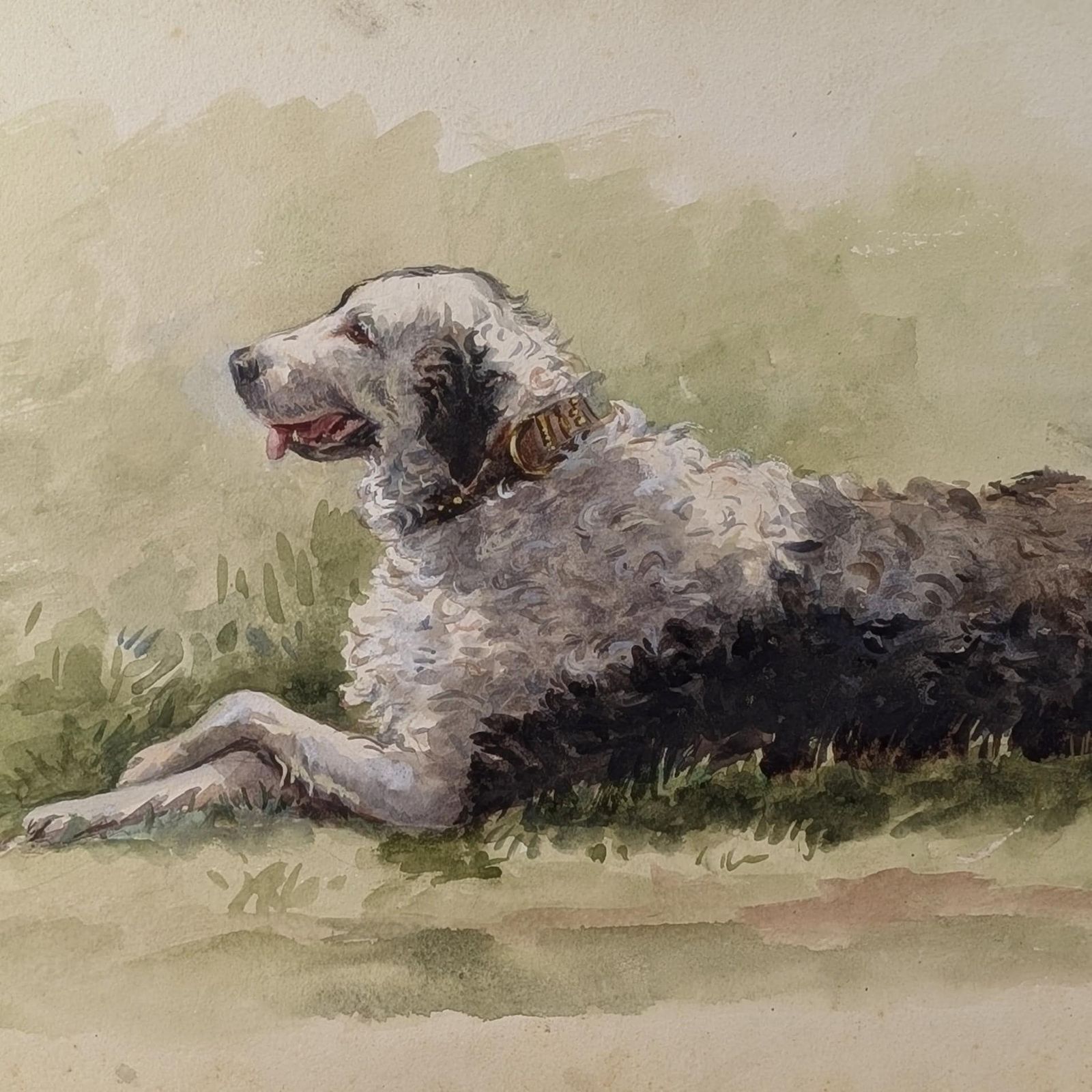 Large Mid Century Watercolor Sheepdog Portrait: Original 1930s Animal Painting On Textured Paper