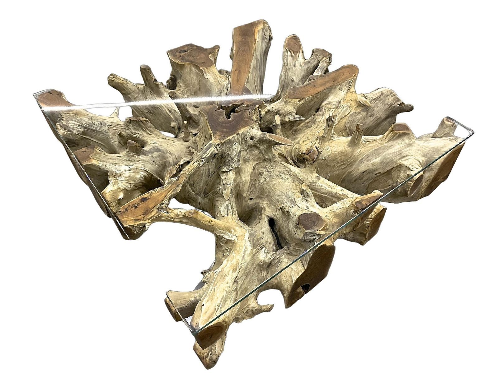 21st Century Organic Modern Teak Root Coffee/ Table, Glass, Idn 2024 photo Furniture