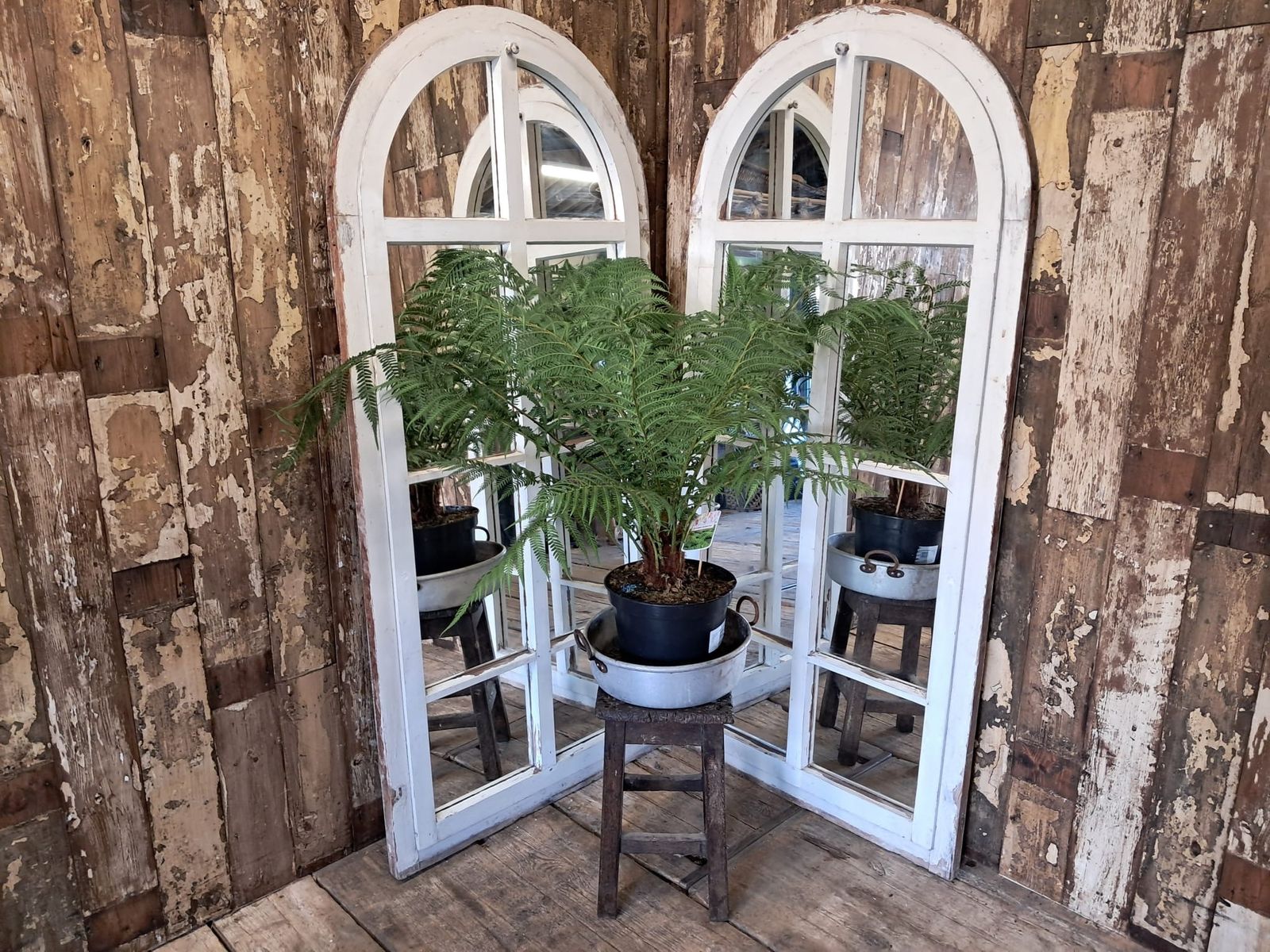 795.0 Arch Top Mirrored Windowr No20 photo