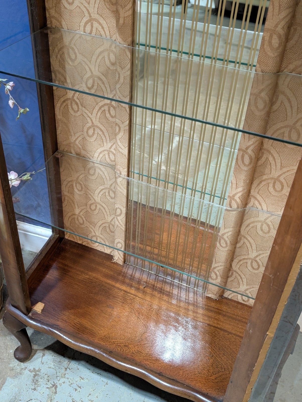 185.0 Vintage Glazed Walnut Veneer Display Cabinet China Antique Glass Serpentine photo