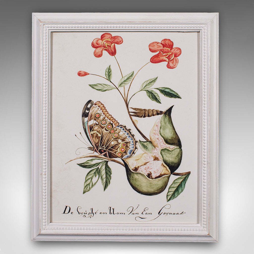 4 Vintage Botanical Pictures, Framed Print, Plant Illustrations, Natural Art photo Art