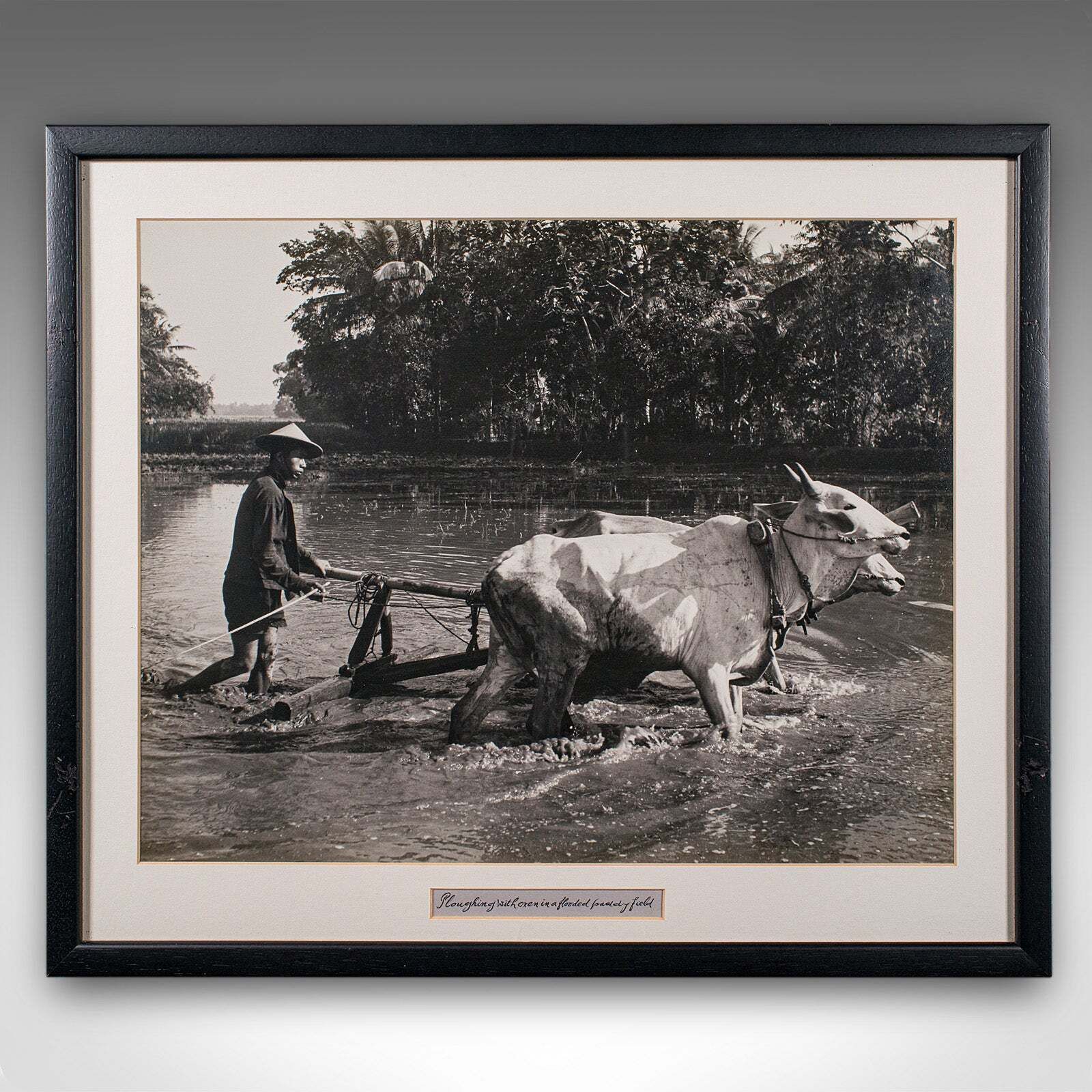 Vintage Photograph, Rural Indonesia, Oriental, Monochrome, Java, Mid Century photo furniture