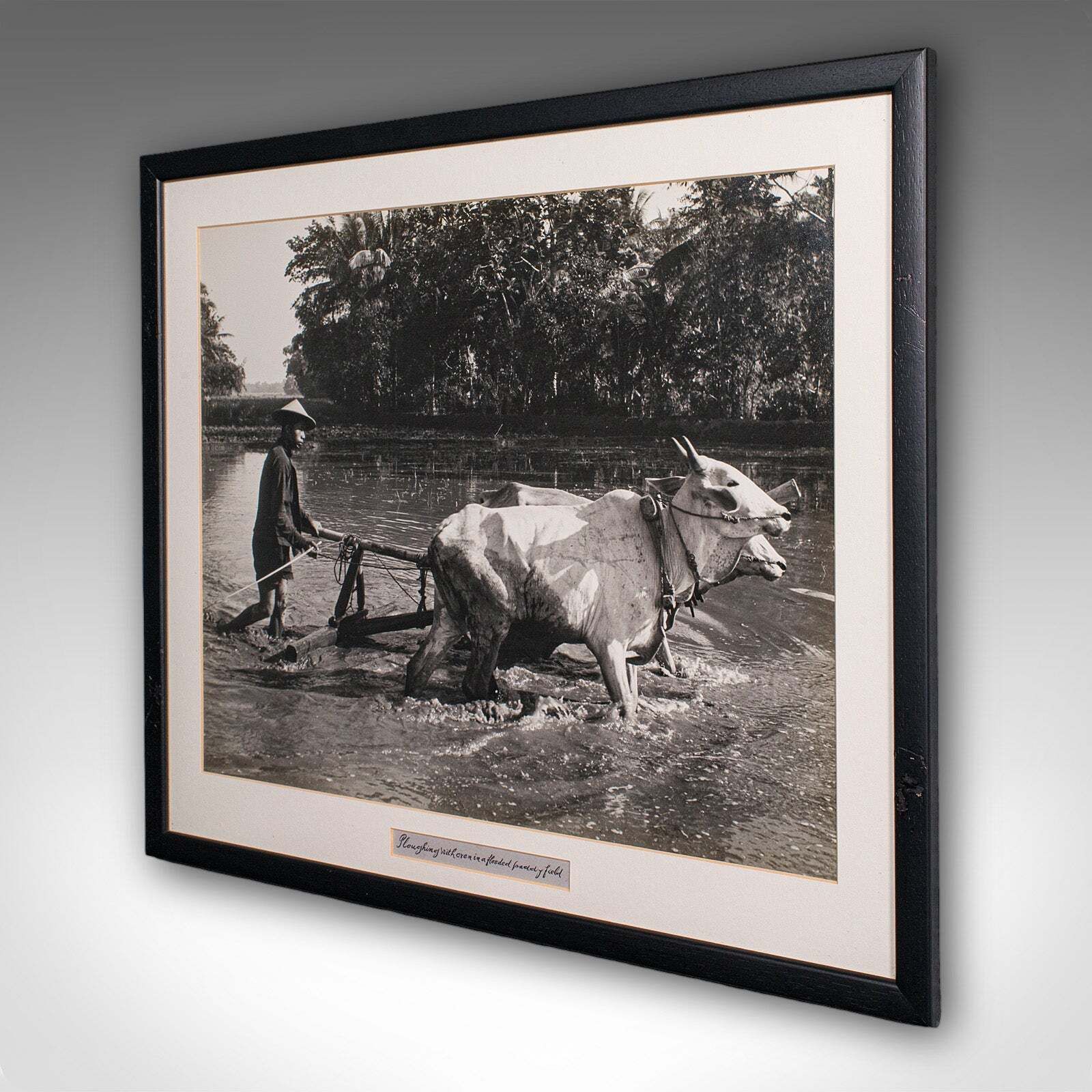 Vintage Photograph, Rural Indonesia, Oriental, Monochrome, Java, Mid Century photo for sale