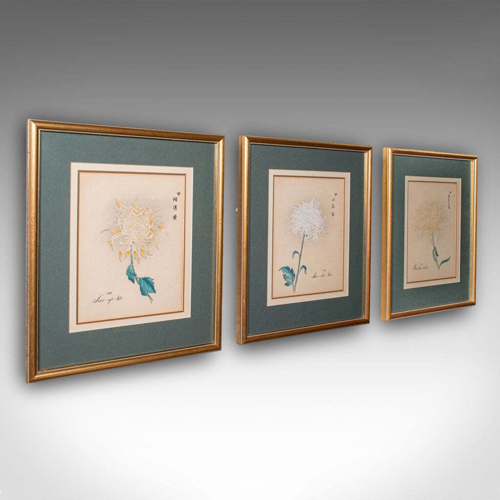 3 Vintage Botanical Pictures, Japanese, Woodblock Print, After Hasegawa, Art
