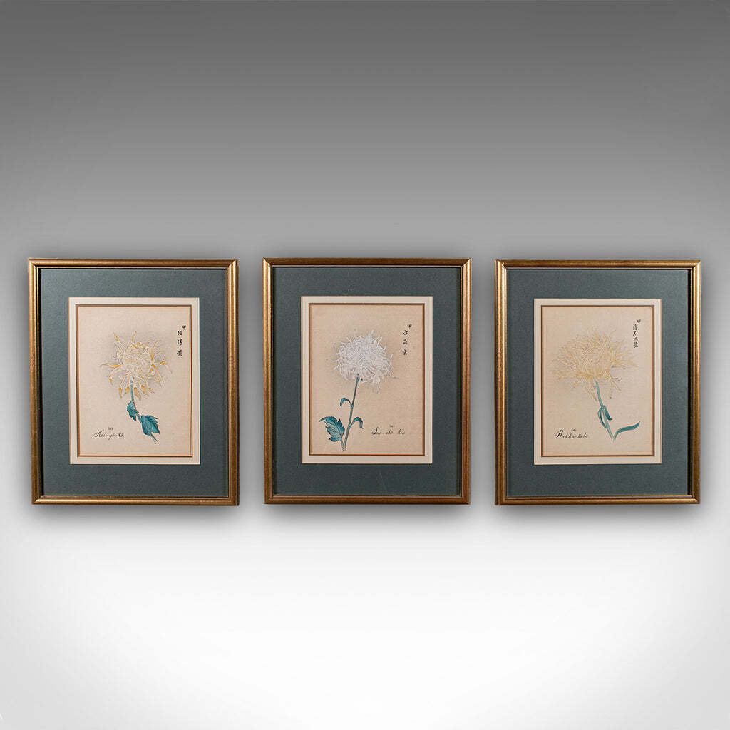 3 Vintage Botanical Pictures, Japanese, Woodblock Print, After Hasegawa, Art photo furniture