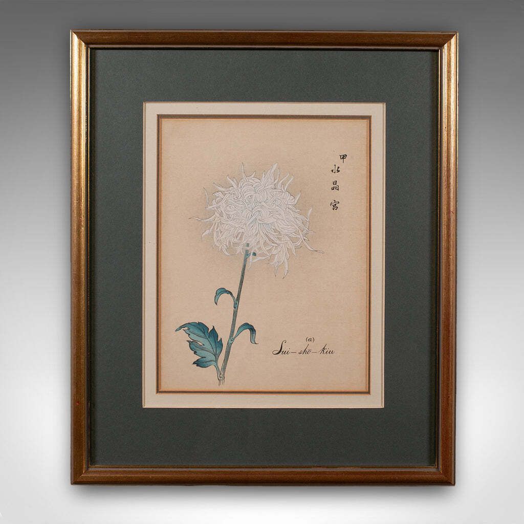 3 Vintage Botanical Pictures, Japanese, Woodblock Print, After Hasegawa, Art photo Art