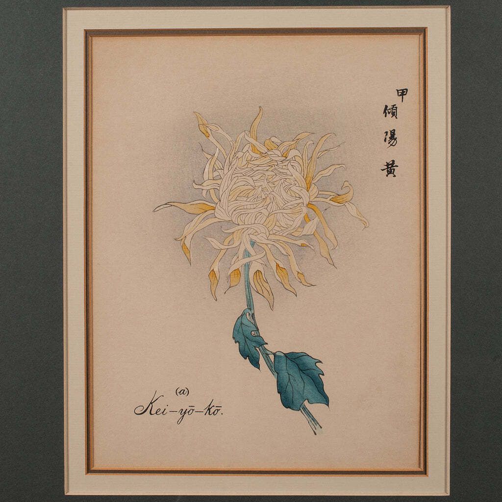 3 Vintage Botanical Pictures, Japanese, Woodblock Print, After Hasegawa, Art photo vinterior