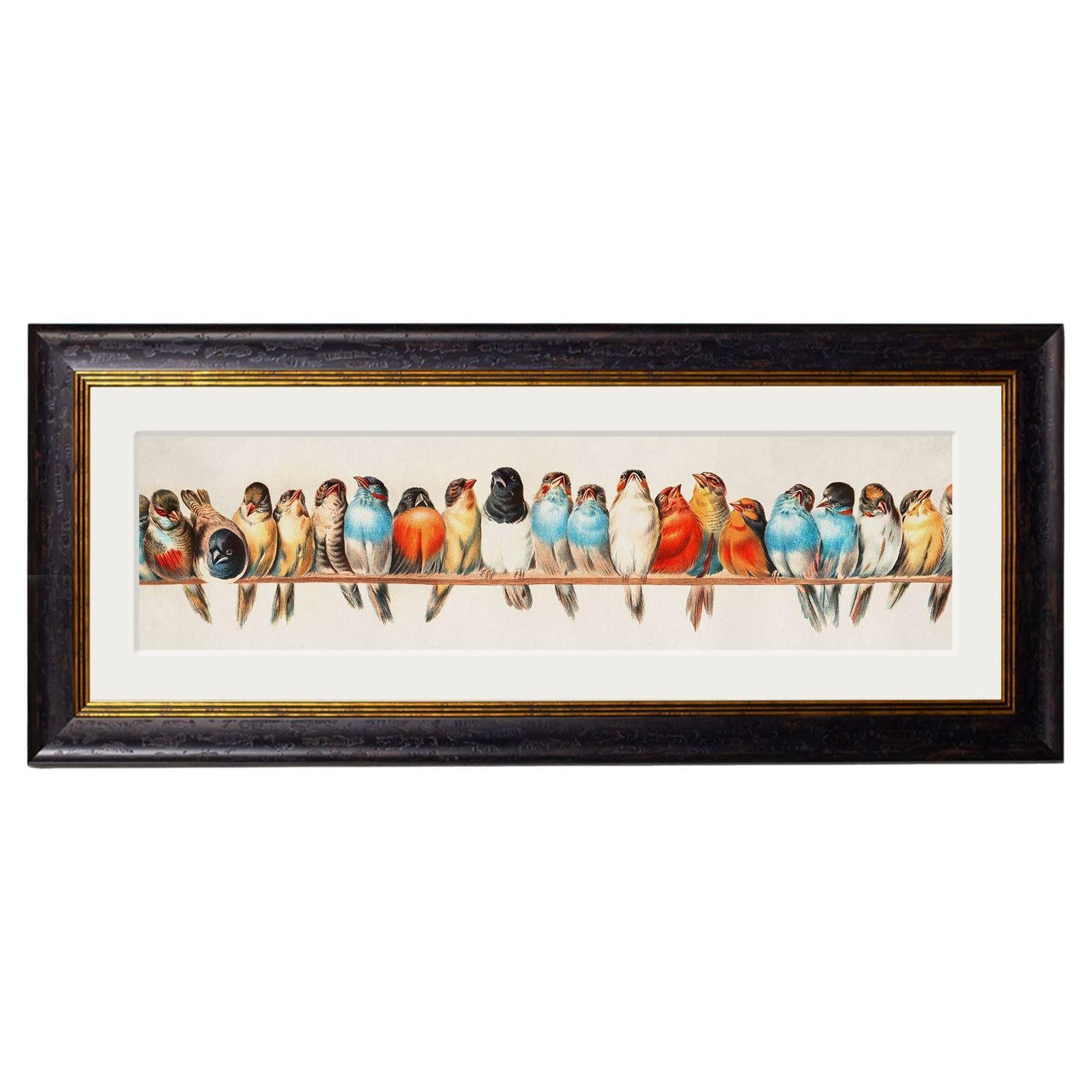 Birds On A Wire Framed Print By Hector Giacomelli Originally Ca 1880, New