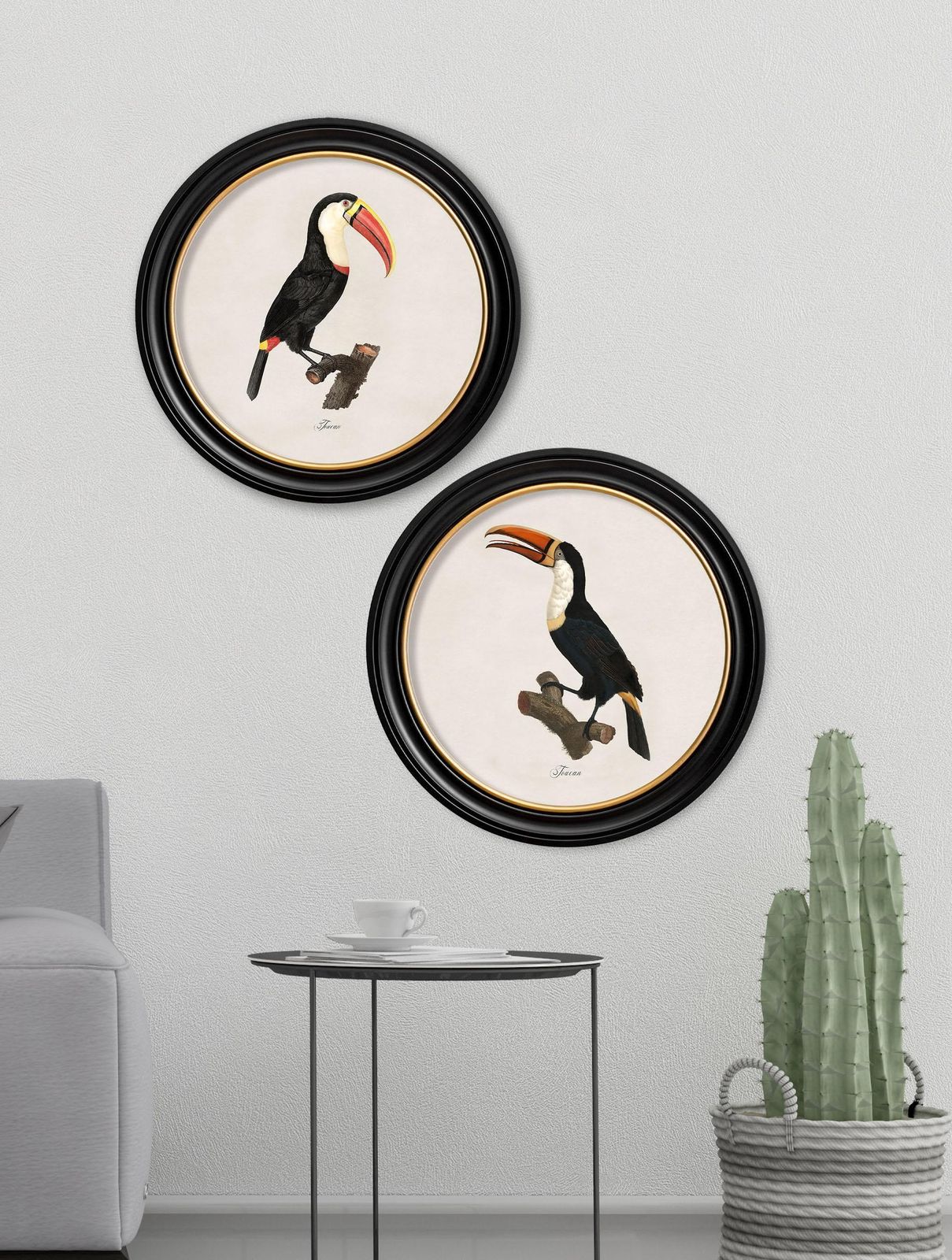 Set Of Two Toucan Prints (B) In Circular Frames From Early 19thc Originals, New photo 325.0