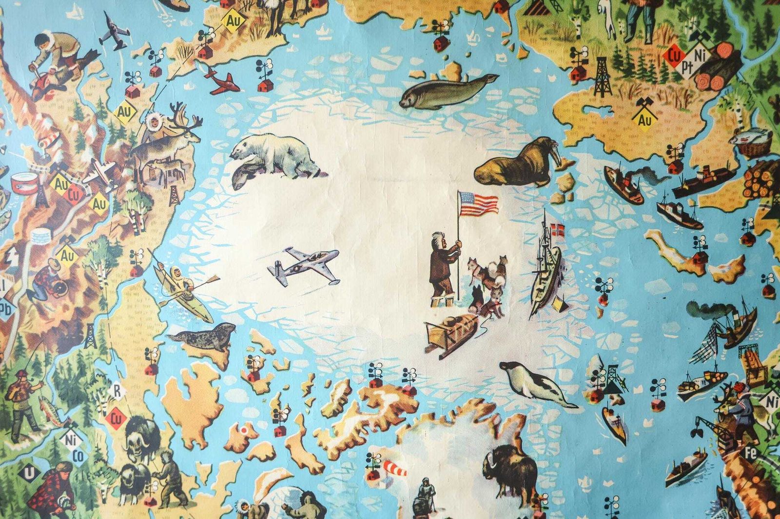 Large Original Vintage Mid Century German Educational School Wall Chart North Pole Arctic Map Wildlife Quirky Geography Rare Westermann photo Art