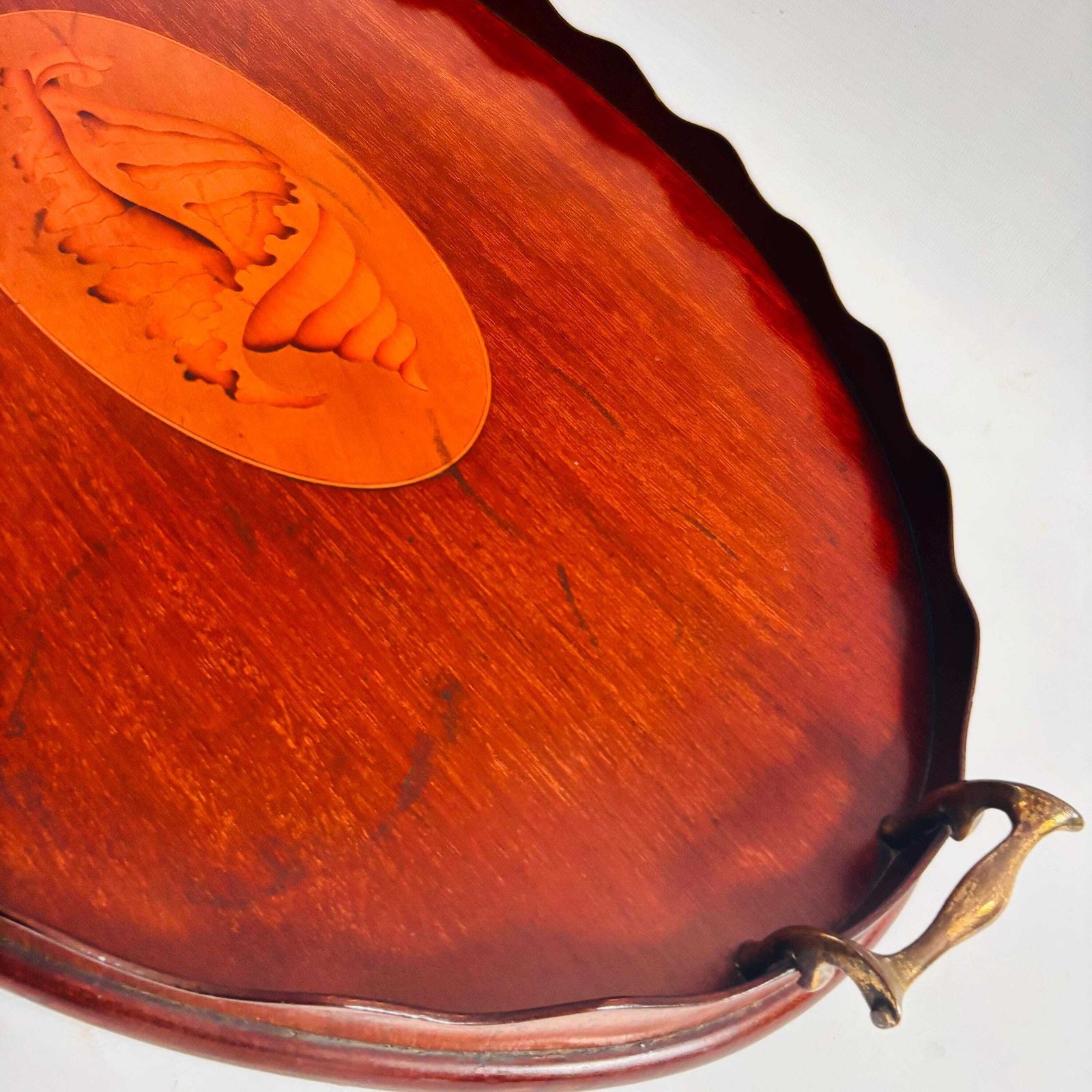 Antique Edwardian Mahogany Tray | Marquetry Inlaid Shell With Brass Handles | Butler's Tea 19c photo for sale