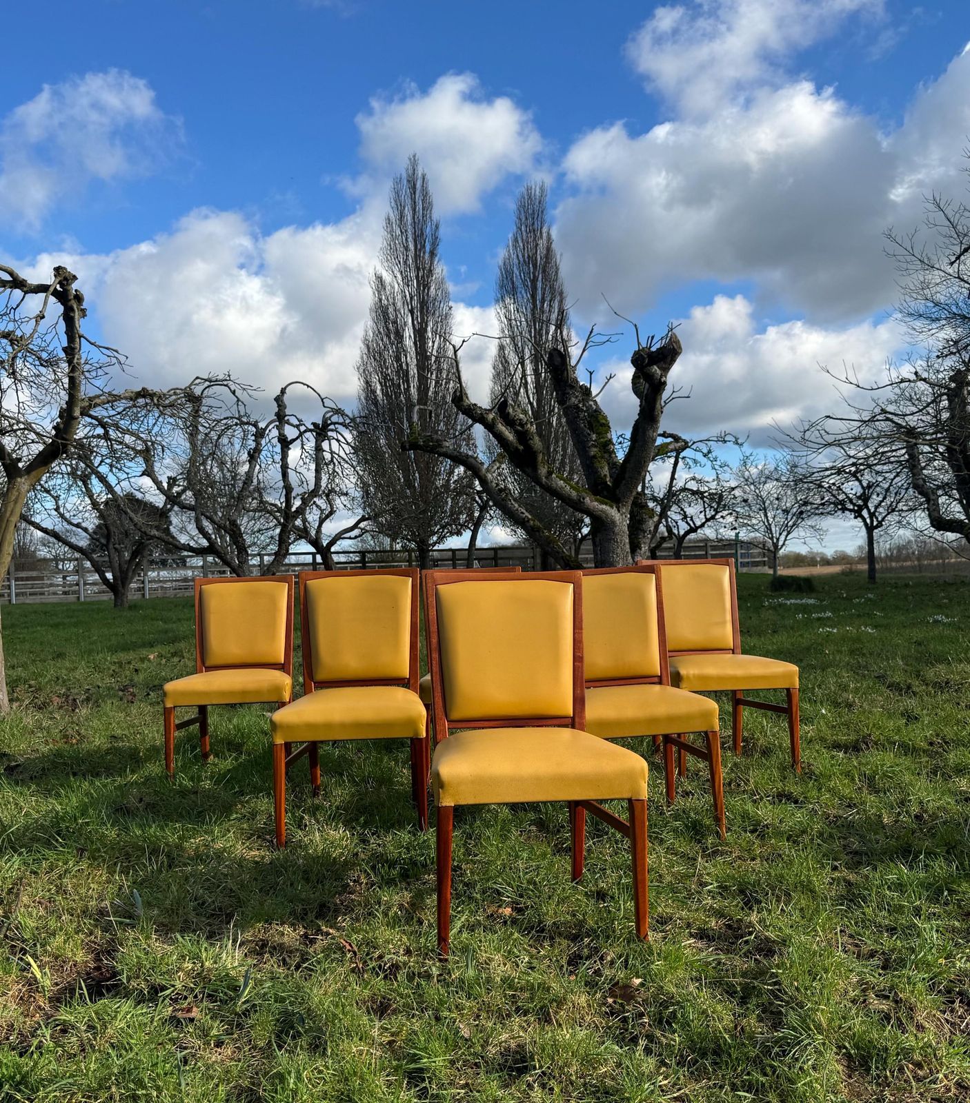 Mid Century Mahogany Set Of Eight Dining Chairs By Marin Hall For Gordon Russell 1970