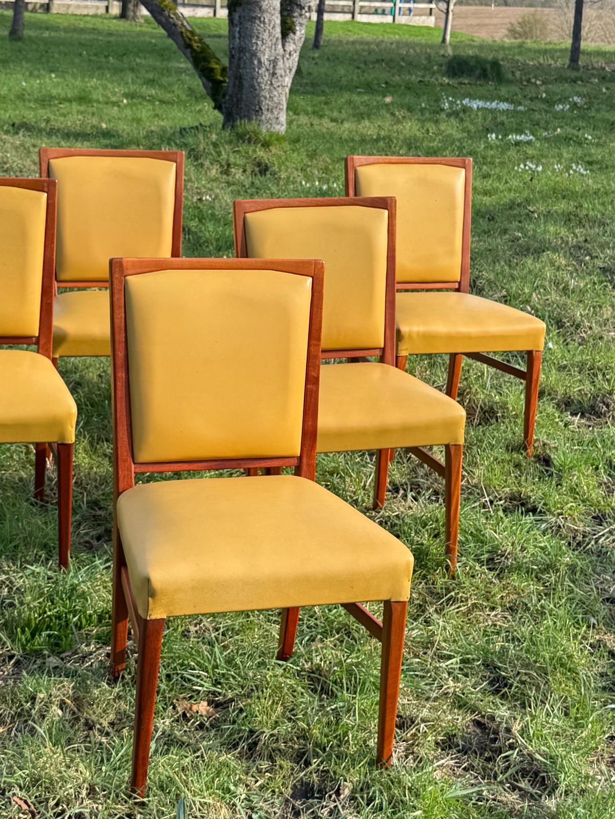 Mid Century Mahogany Set Of Eight Dining Chairs By Marin Hall For Gordon Russell 1970 photo 850.0