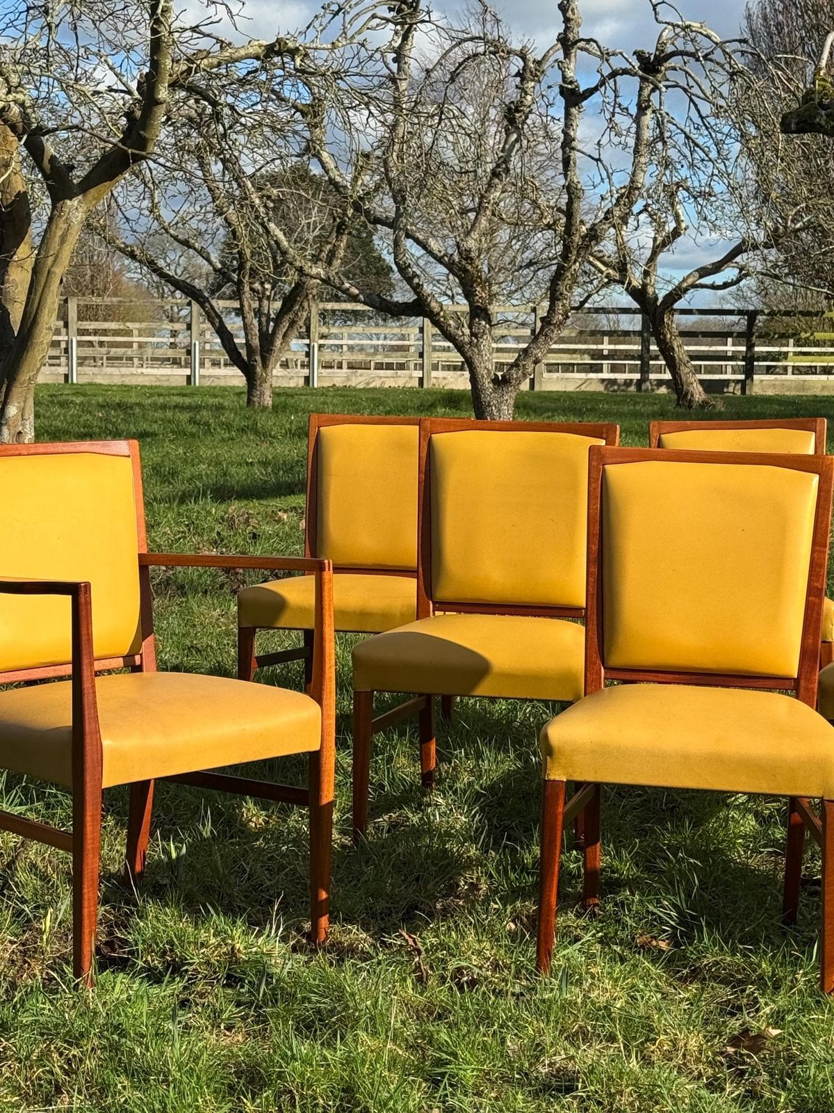 Mid Century Mahogany Set Of Eight Dining Chairs By Marin Hall For Gordon Russell 1970 photo vintage