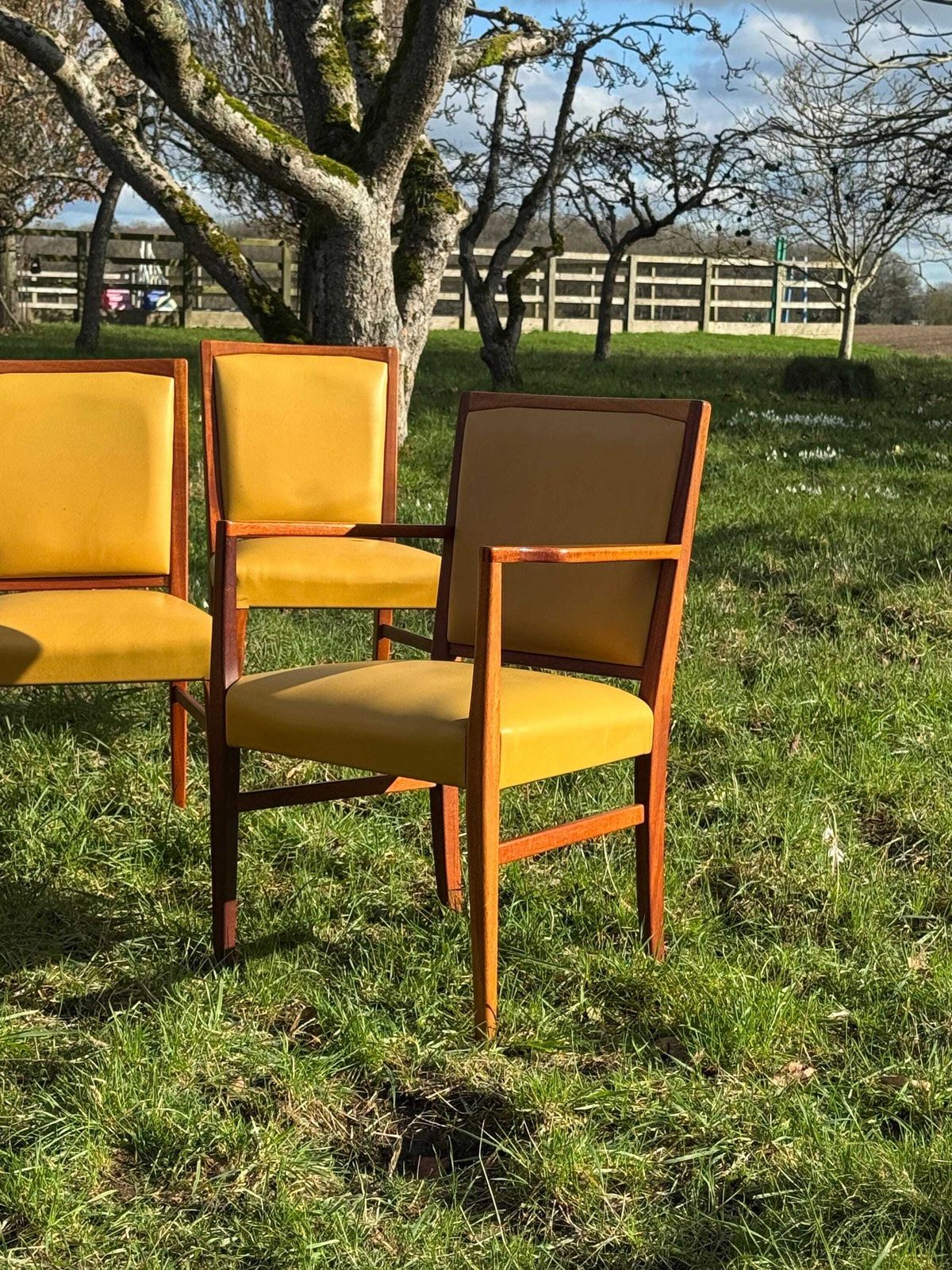 Furniture Mid Century Mahogany Set Of Eight Dining Chairs By Marin Hall For Gordon Russell 1970 photo