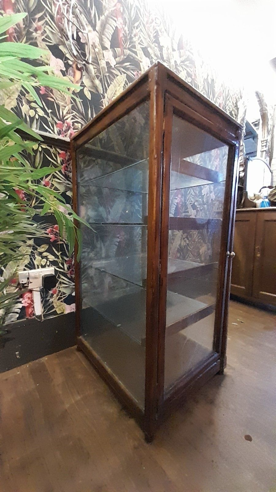 Antique Victorian Shop  Display Glass Cabinet With 5 Shelves And 1 Door photo furniture