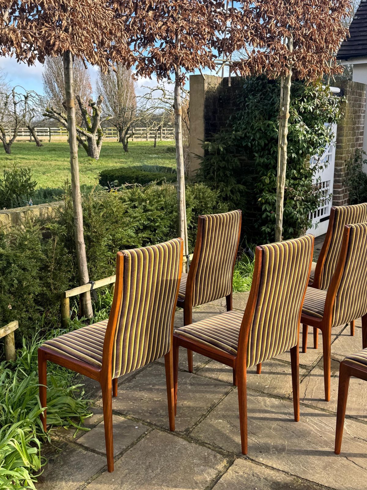 Mid Century Rosewood Hamilton Dining Chairs By Robert Heritage For Archie Shine, Set Of Eight. photo 2450.0