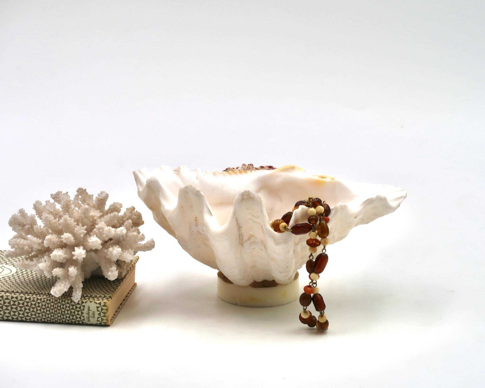 Seashell, Ring Dish, Clam Tridacne 1970s / Bowl, Soap Dish, Cabinet Of Curiosity, Jewelry Display, Home Decor, Minimalist Bathroom photo furniture