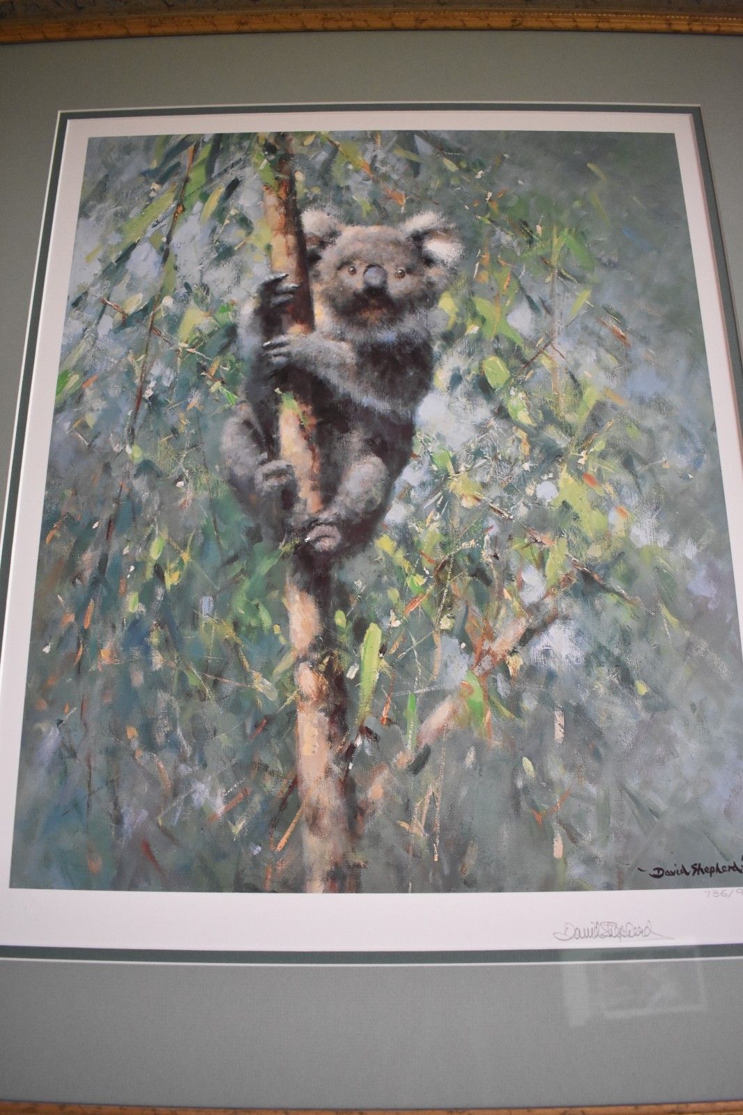 115.0 Koala By David Shepherd Large Framed Print Limited Edition Signed By Artist photo