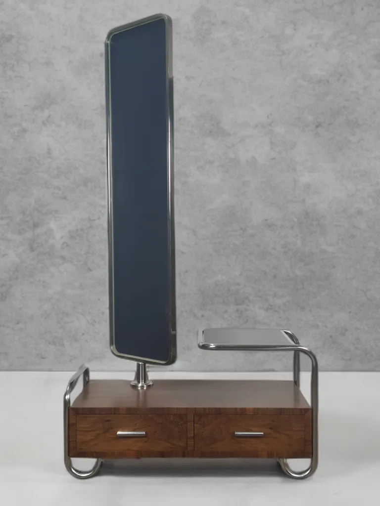 2950.0 Bauhaus Tubular Steel Dressing Cabinet By Slezak, 1930 photo
