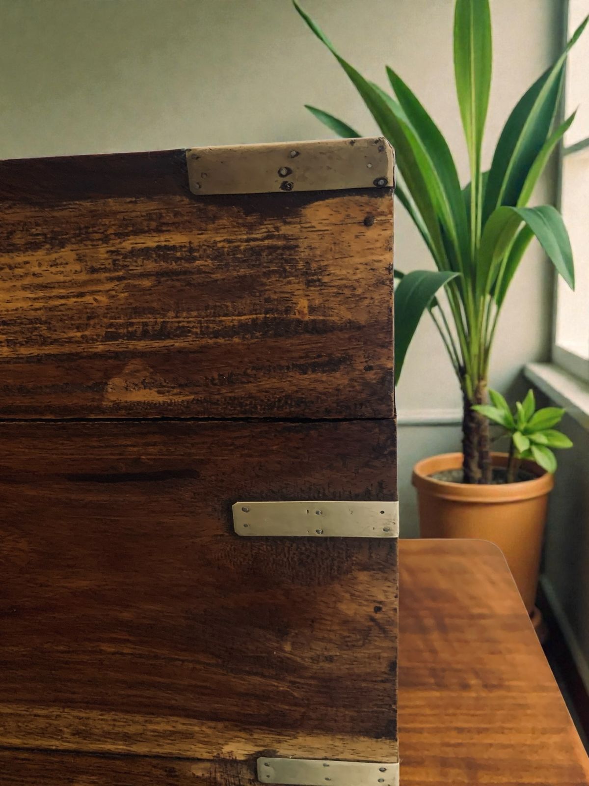 photo furniture 19th Century Brass Bound Teak Wood Campaign Chest, Liquor Drinks Chest Box