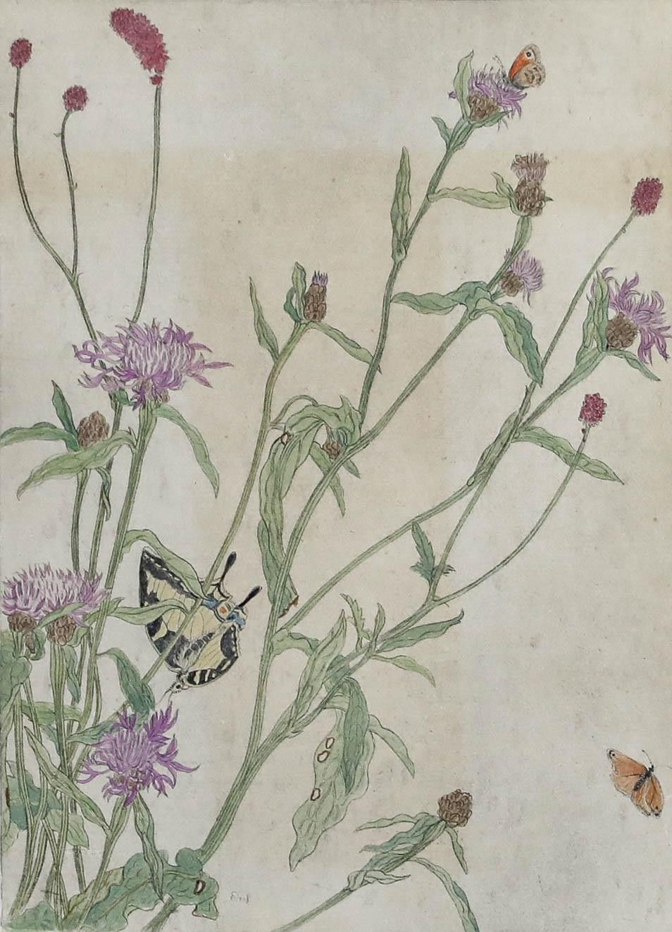 Werner Von Scheidt (1894 1983) Mid 20th Century Etching, Meadow Knapweed photo furniture