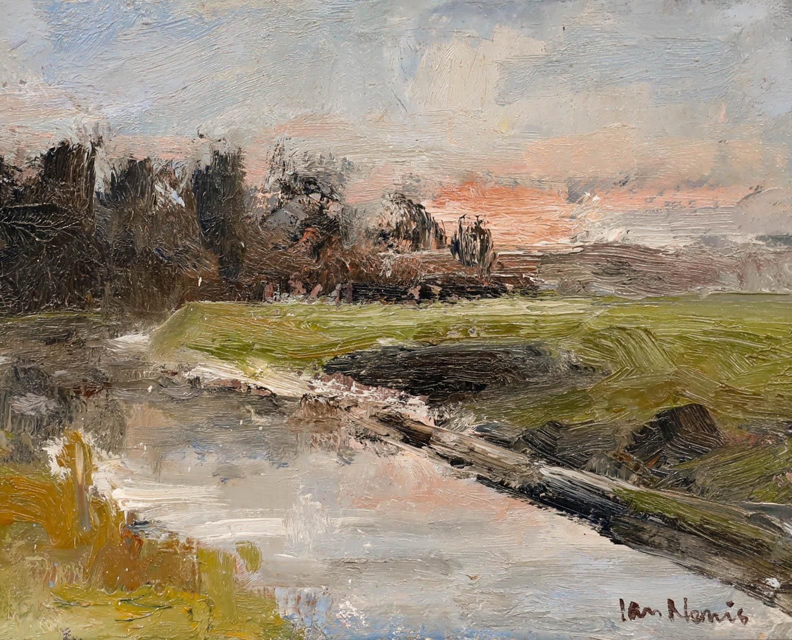 Ian Norris (B.1960) Framed Contemporary Oil, River Ribble photo furniture