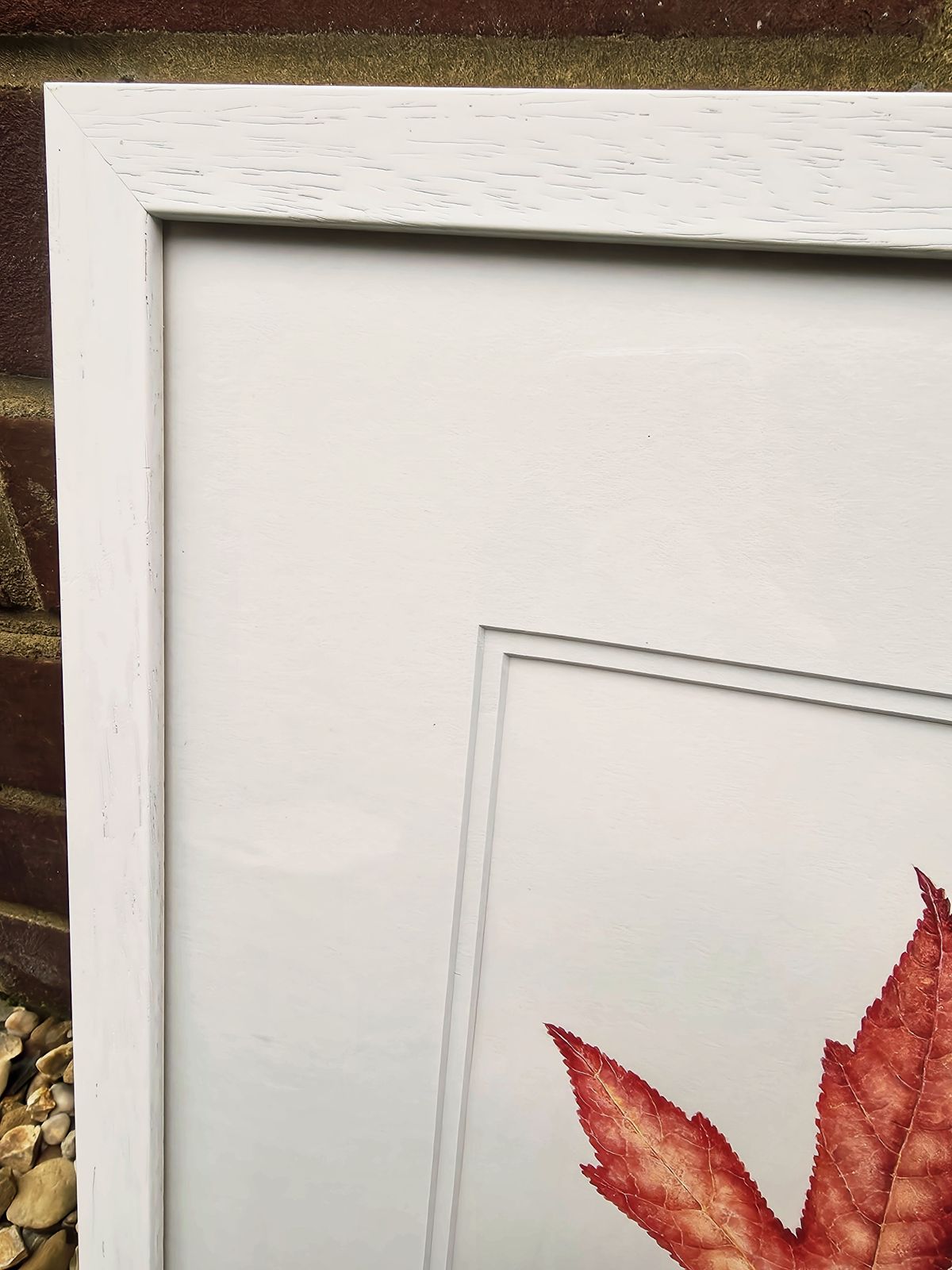 Striking Watercolour Entitled Liquidambar Leaves On Pure White Background photo Art