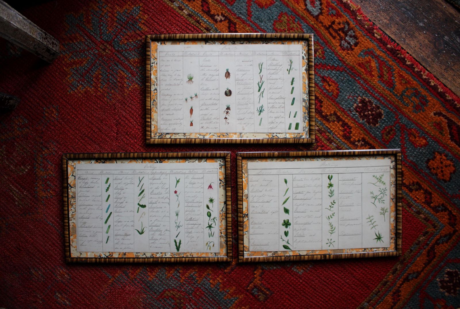 19thc American Trio Of Ink & Watercolour Botany Charts By Bessie Slater Folk Art photo furniture