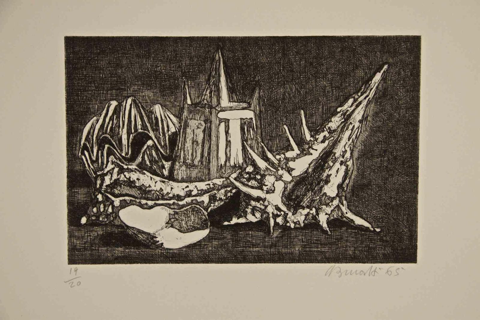 Armando Burattistill Life With Shell   Etching By Armando Buratti   19651965
