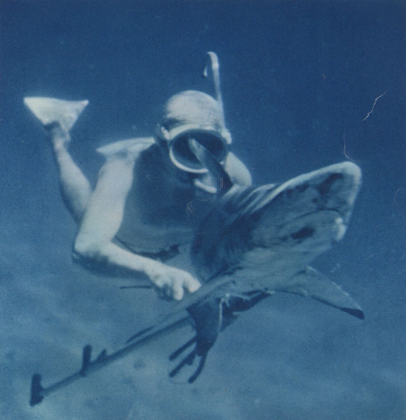 “Killing A Shark”, 1955 French Heliochrome Print On Paper photo furniture