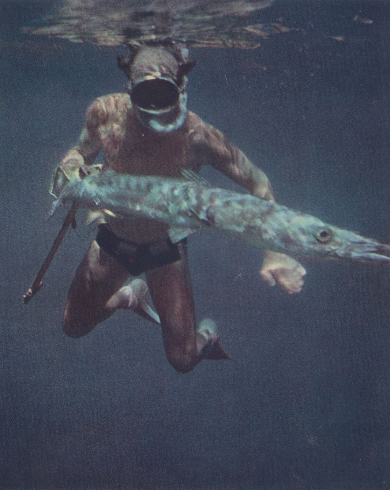 “Spear Fisherman With Barracuda”, 1955 French Heliochrome Print On Paper photo furniture