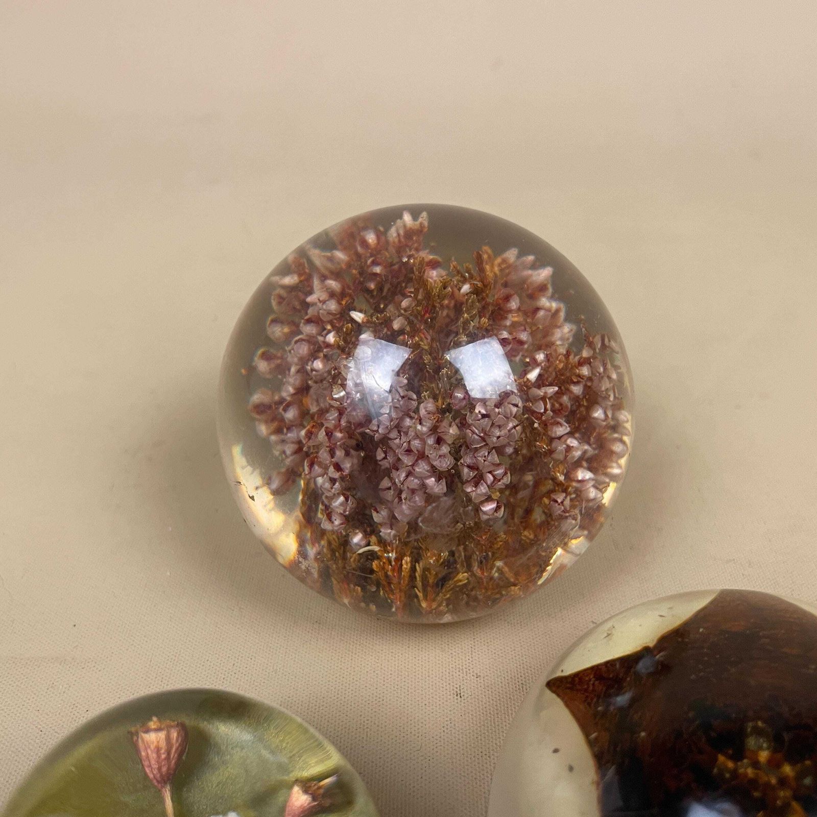 Vintage Resin Flower Paperweights Set Of 3 Clear Dome Desk Decor Mid Century Office Accessories Dried Flower Ornament Retro Home Decor photo vinterior